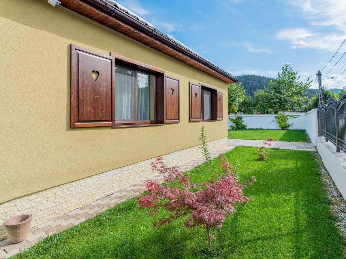 Casa Saraste Hotel Rîşnov Kültér fotó